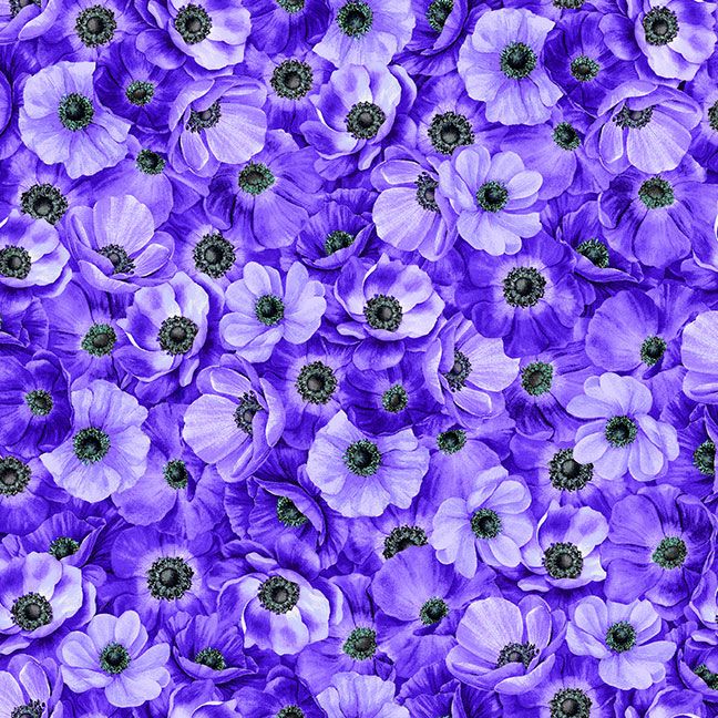 Packed Anemones MEADOW-CD3953 Purple Timeless Treasures Half Yard