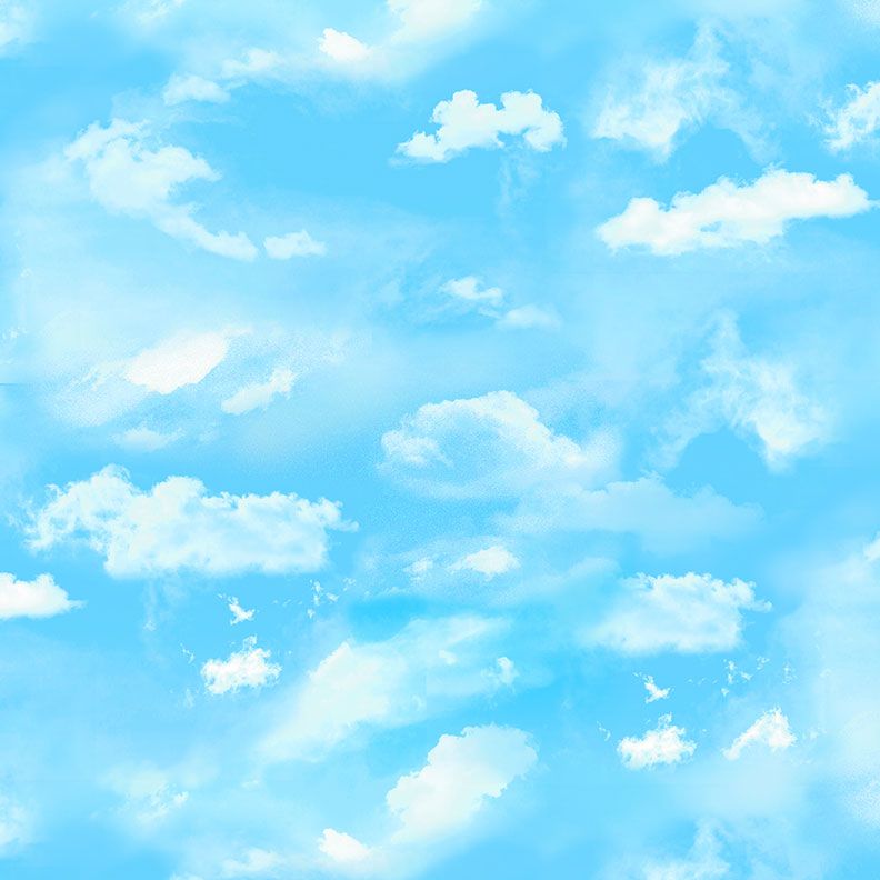 Meadow MEADOW-CD3958 Cloudy Sky Timeless Treasures Half Yard