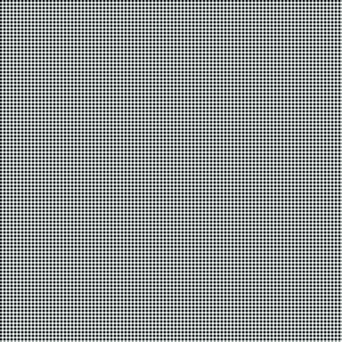 Ghostly Garden Bitty Gingham Black by KP Creates Andover A-10199-K Half Yard