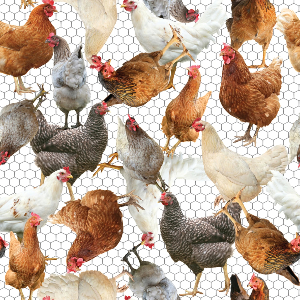 2024 Farm Animals Chicken White 137706 Mook Half Yard