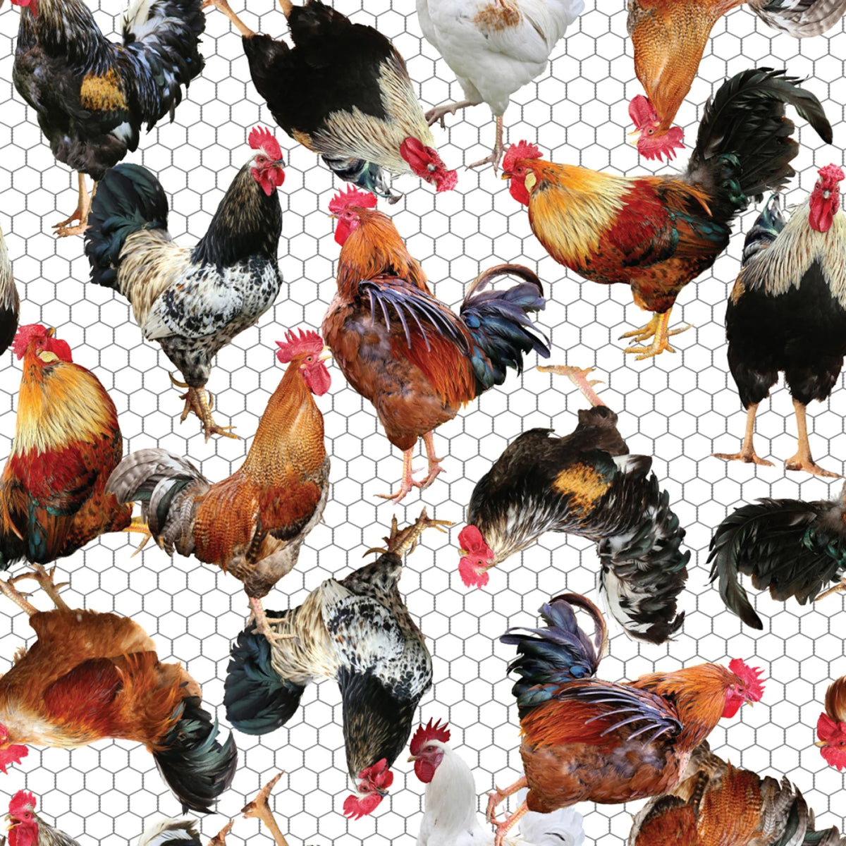 2024 Farm Animals Rooster White 137707 Mook Half Yard