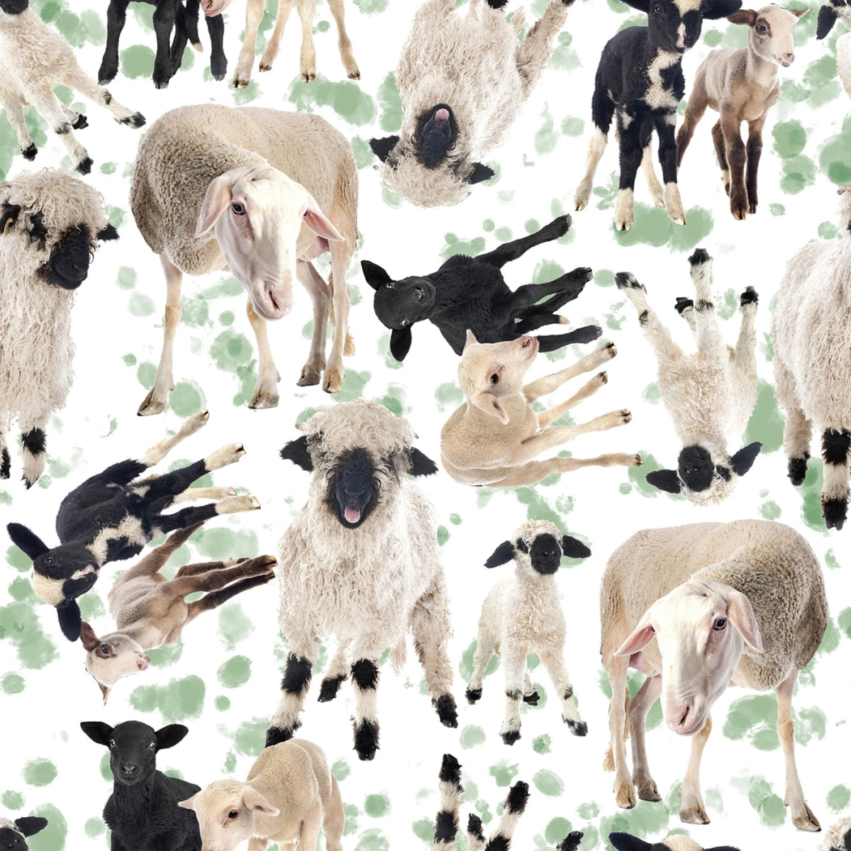 2024 Farm Animals Sheep White 137709 Mook Half Yard