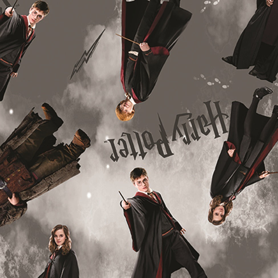 Harry Potter 1521711B Characters Gray Benartex Half Yard