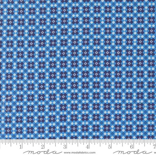Legendary Love 45055 12 Fencing Navy Sariditty Moda Half Yard