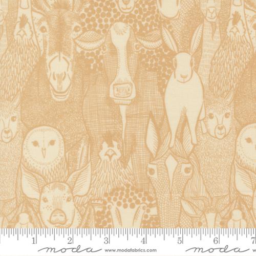 The Henhouse Hay Gingiber 48431 13 Moda Half Yard