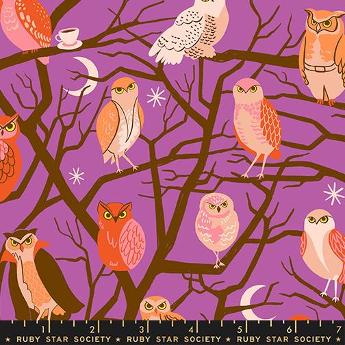Freaky Familiars RS5190 11 Witchy Ruby Star Moda Half Yard