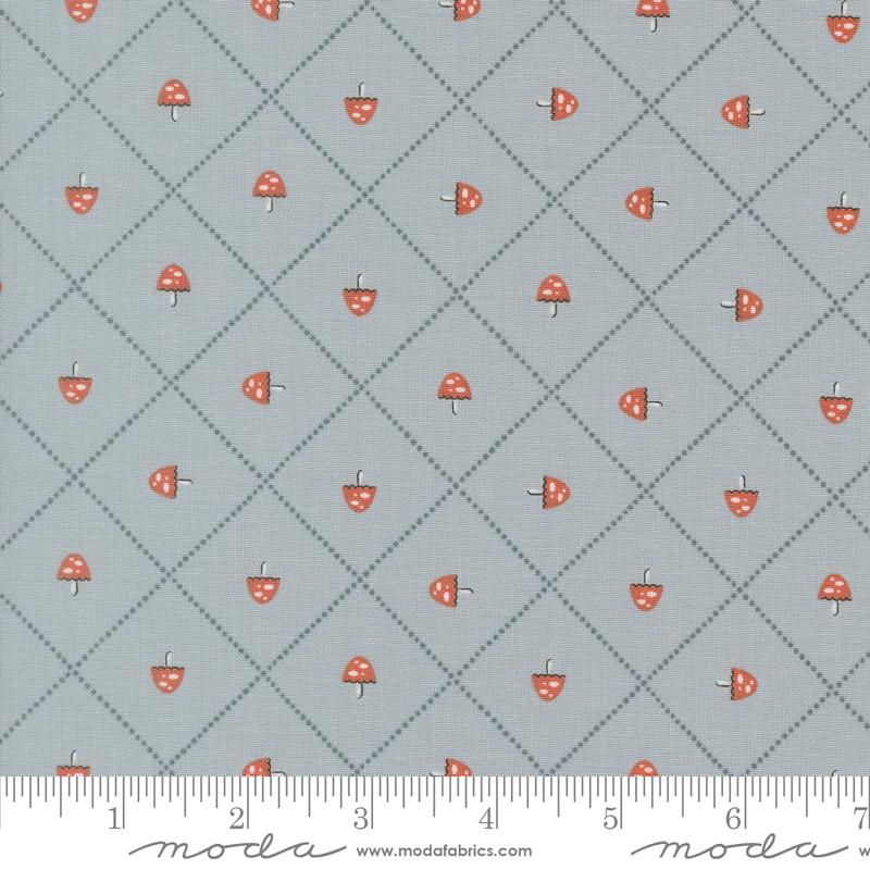 Natures Sketchbook Mushroom and Grid Sky 39077 20 Elena Amo Moda Half Yard