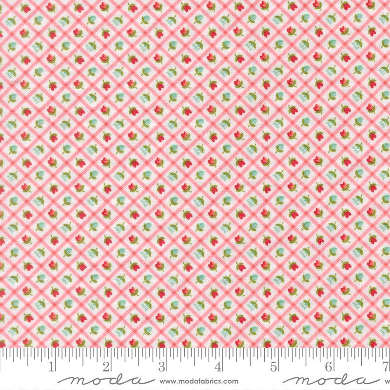 Bloomsberry 55358 11 Blush Checks and Plaids Flower Moda Half Yard