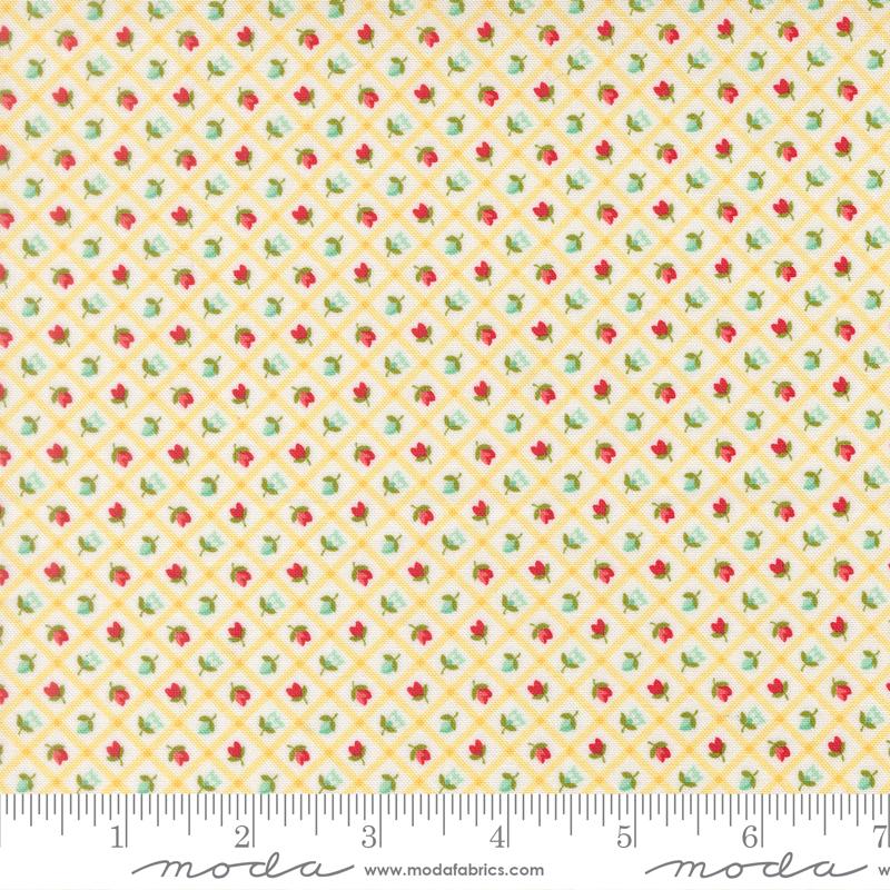 Bloomsberry 55358 22 Buttermilk Checks and Plaids Moda Half Yard
