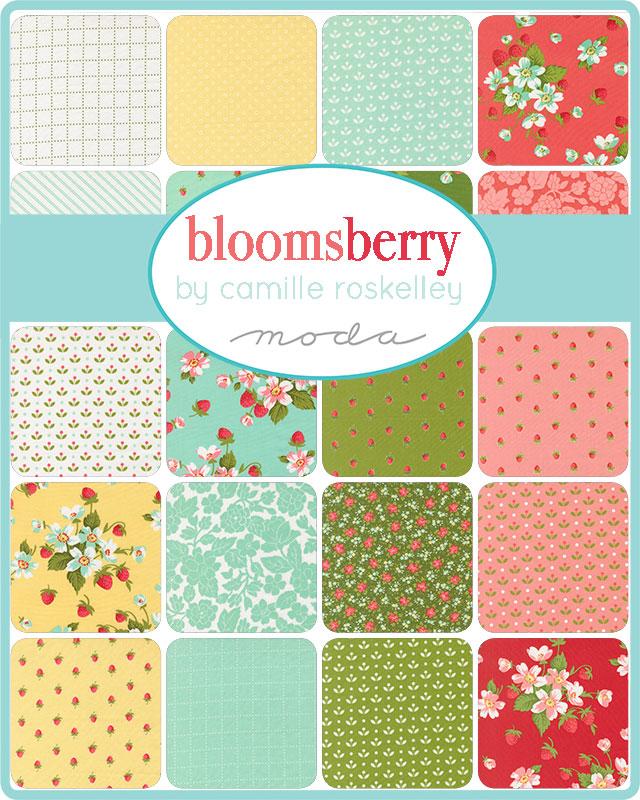 Bloomsberry 55358 23 Aqua Checks and Plaids Flower Moda Half Yard