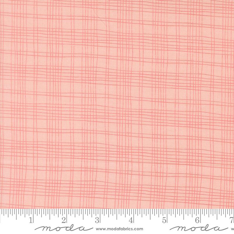 Bug Collector Plaid Blush 55737 14 Sweetwater Moda Half Yard