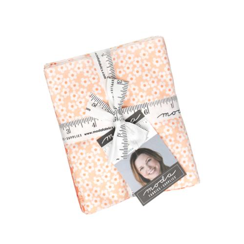 Popcorn 25 Fat Quarter Bundle 51280AB Elizabeth Hartman Moda