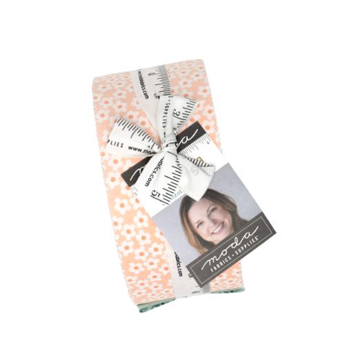Popcorn 2.5" Jelly Roll 51280JR Elizabeth Hartman Moda