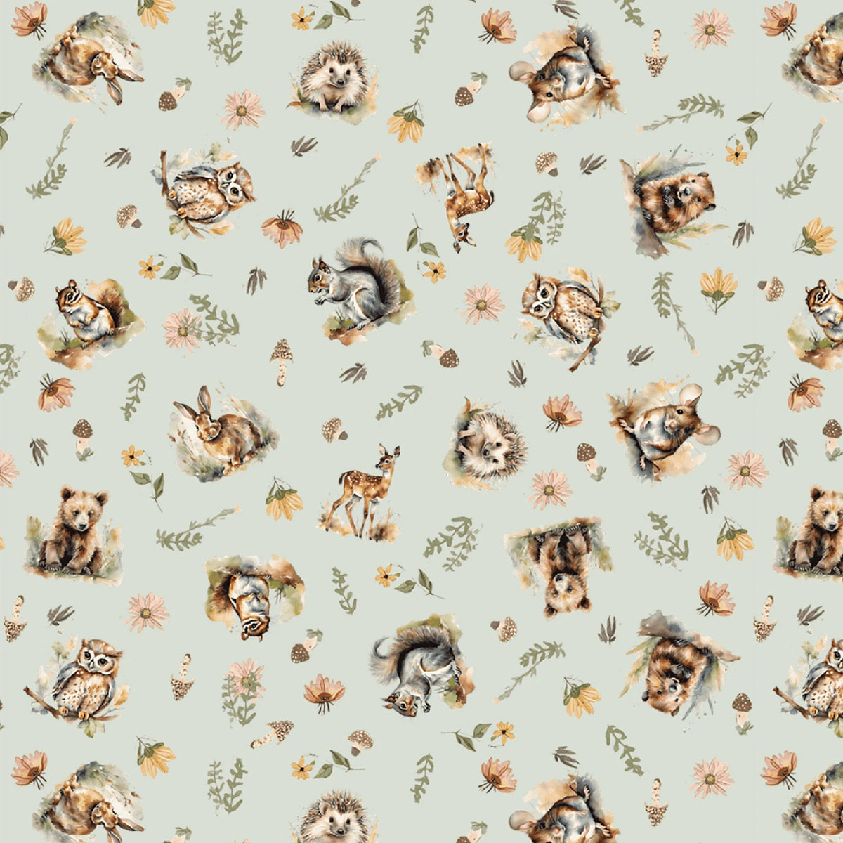 Wildwood Whimsy Wildwood Friends Spring Fed Blue BQ3209-11 Juliah Tiedemann Blank Quilting Half Yard