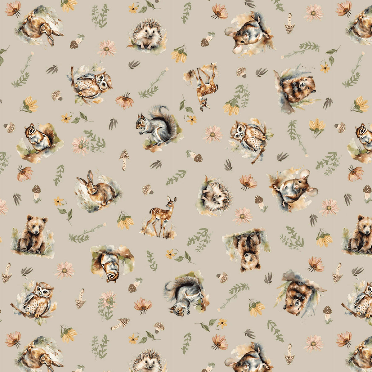Wildwood Whimsy Wildwood Friends Acorn Brown BQ3209-34 Juliah Tiedemann Blank Quilting Half Yard
