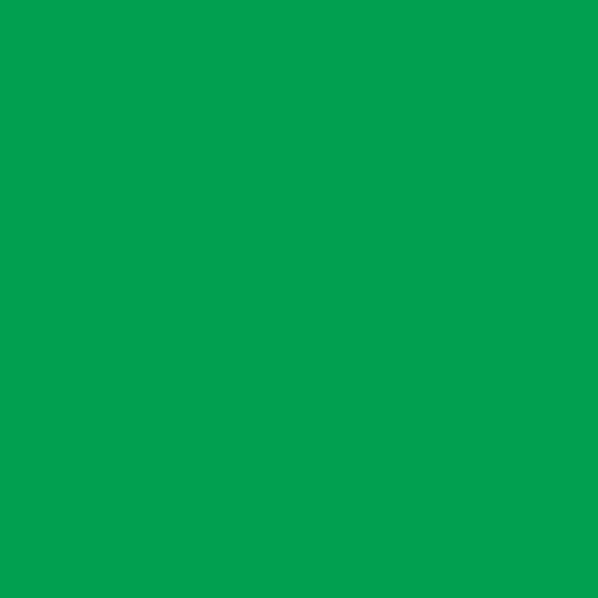 Confetti Cottons Solids Emerald City Riley Blake Designs C120-EMERALDCITY Half Yard