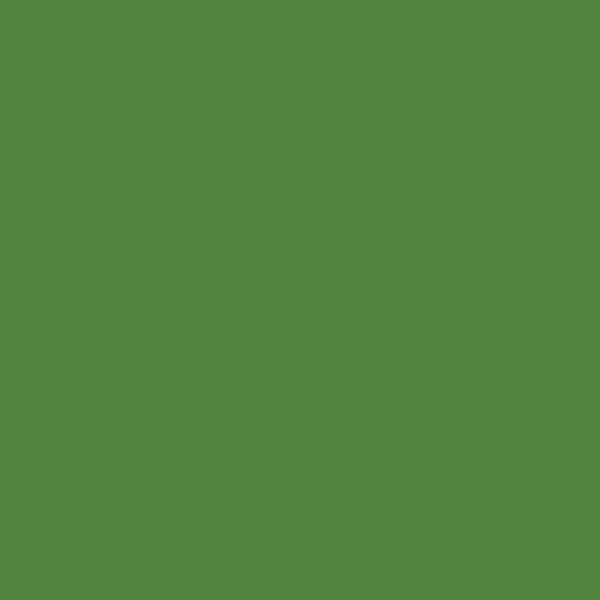 Confetti Cotton™ C120­-HOLLY Riley Blake Half Yard