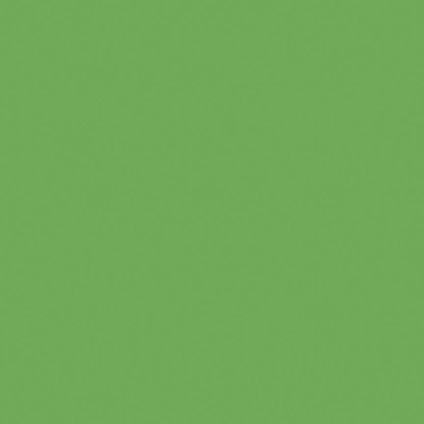 Confetti Cottons Solids Riley Green Riley Blake Designs C120-RILEYGREEN Half Yard