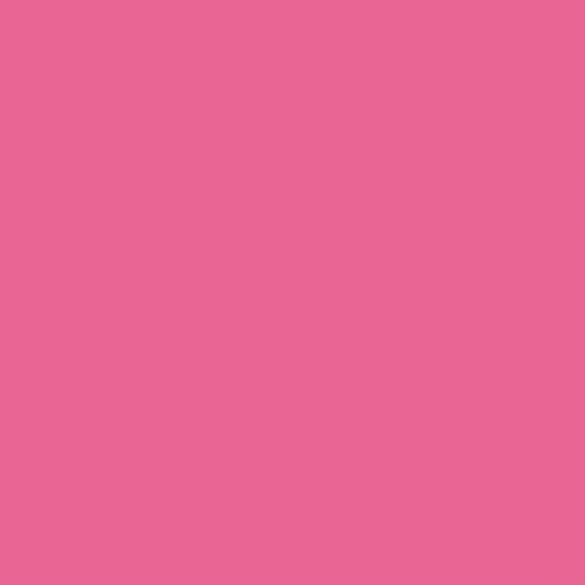 Confetti Cotton™ C120­-RILEYHOTPINK Riley Blake Half Yard