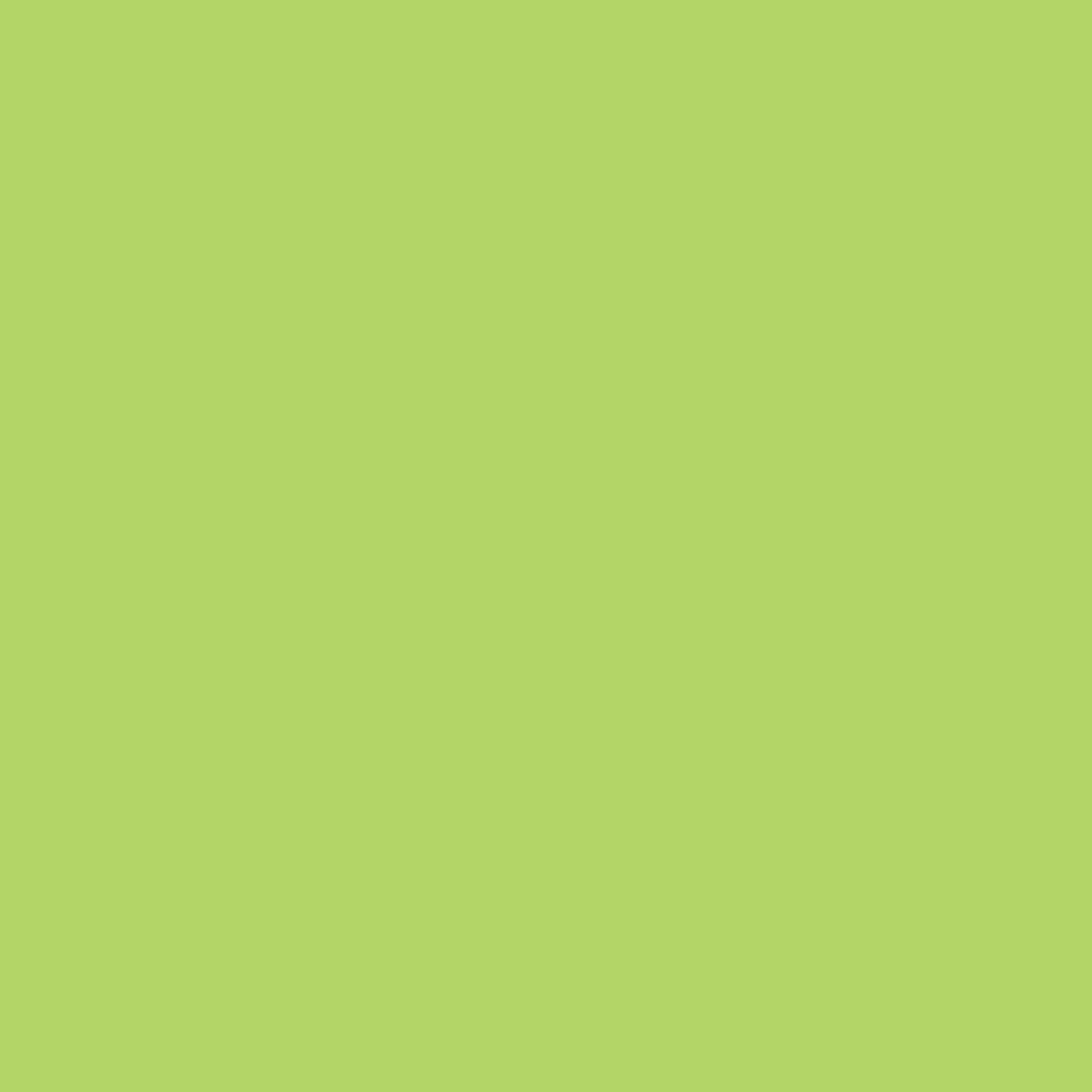 Confetti Cotton™ C120­-WASABI Riley Blake Half Yard