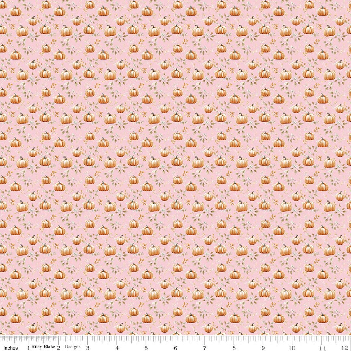 Harvest on the Prairie Pumpkin Blush Modern Prairie Riley Blake C18289­-BLUSH Half Yard