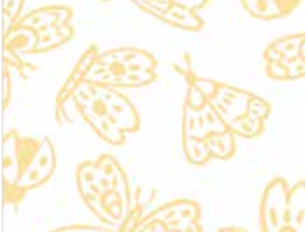 Little Posies Butterflies White C18323-WHITE Cayla Naylor Riley Blake Half Yard