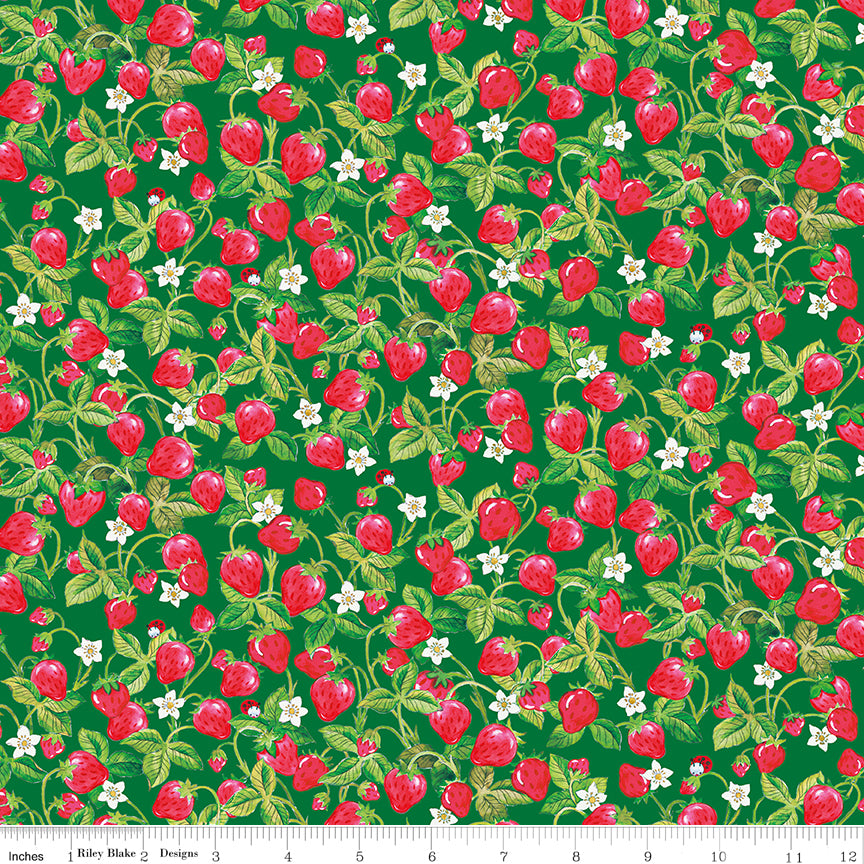 The World of Strawberry Shortcake Strawberries Green Half Yard C18564-GREEN Riley Blake