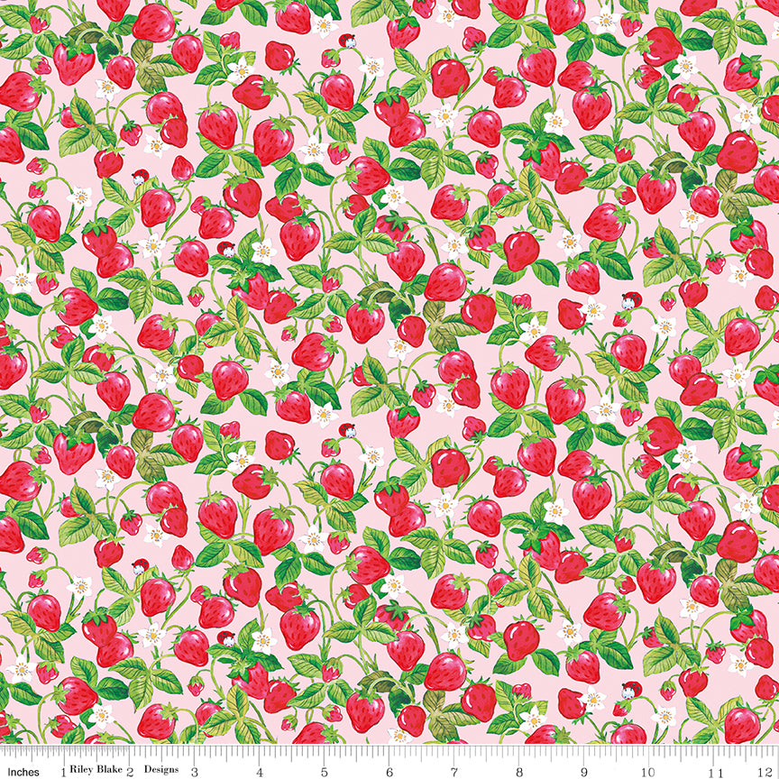 The World of Strawberry Shortcake Strawberries Pink Half Yard C18564-PINK Riley Blake
