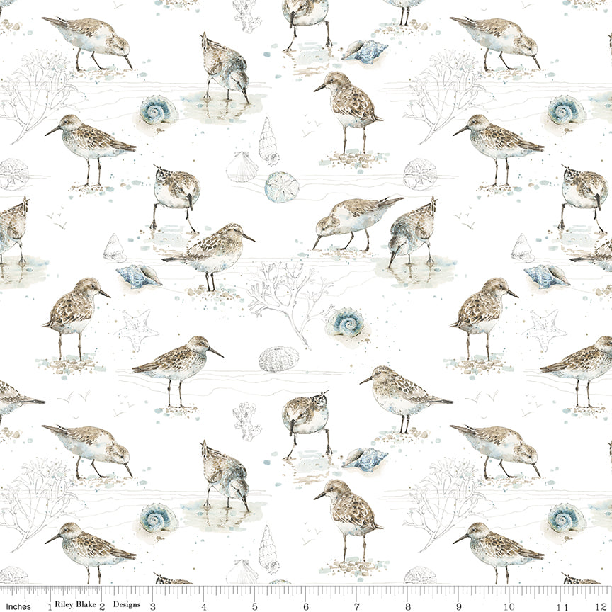 Sea Echoes Birds White C18821-WHITE Riley Blake Half Yard