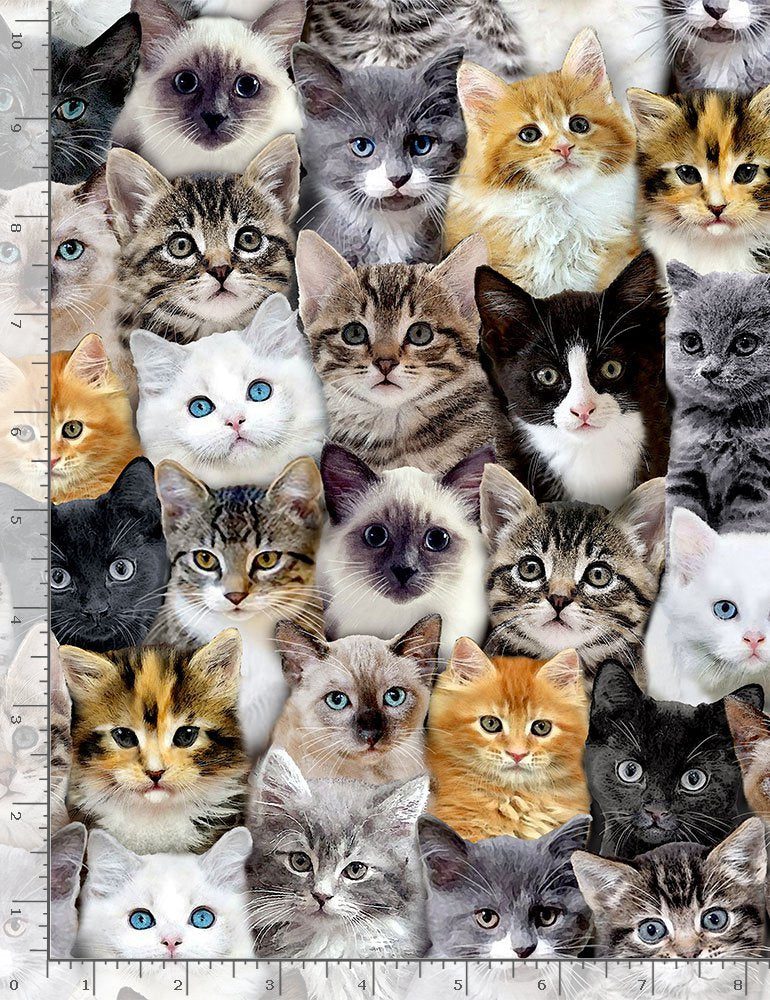 Kitty Cat Club CAT-CD8417 MULTI Packed Mixed Breeds of Cats Timeless Treasures Half Yard
