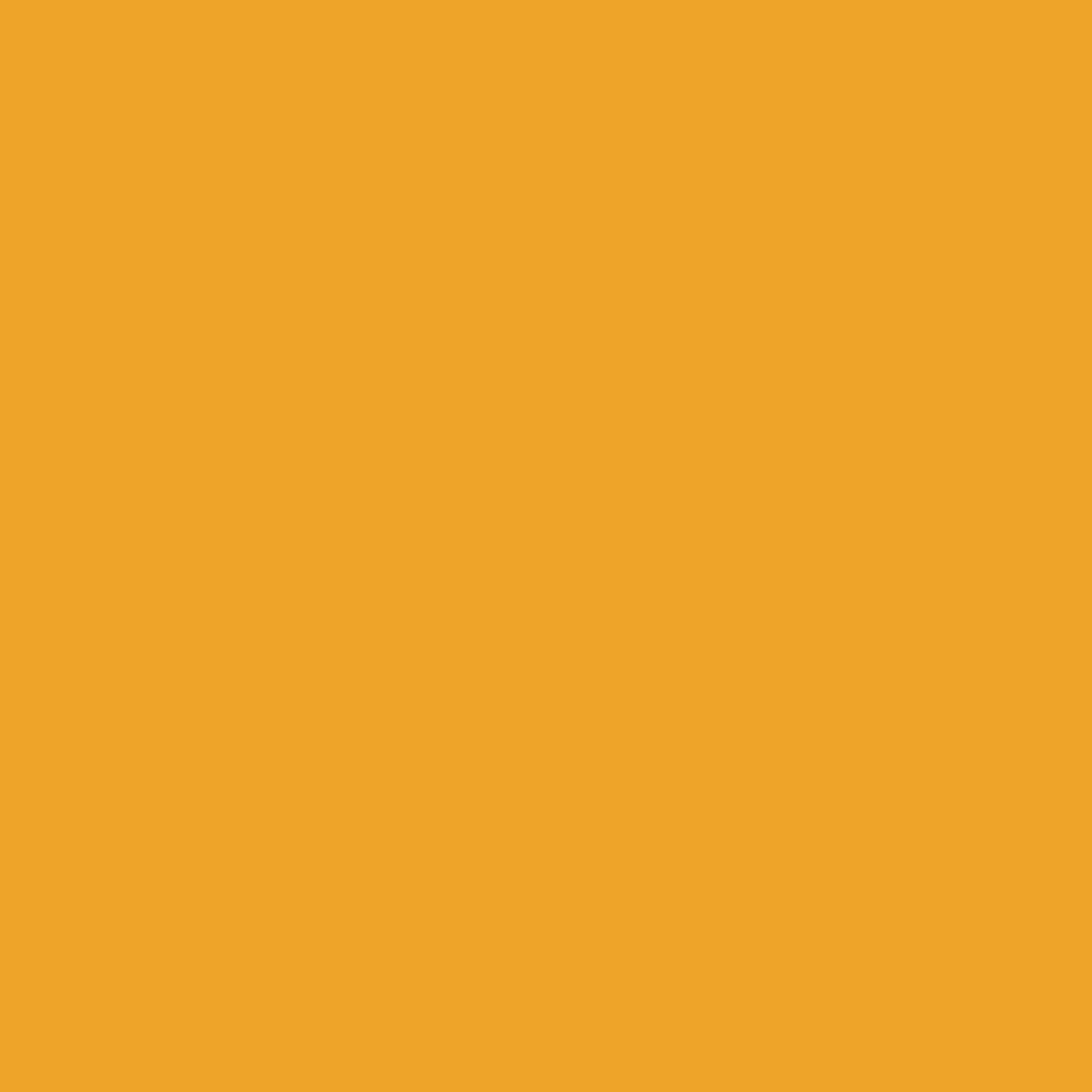 Tula Pink Designer Essentials Solids Marigold CSFSESS-MARIGOLD Half Yard