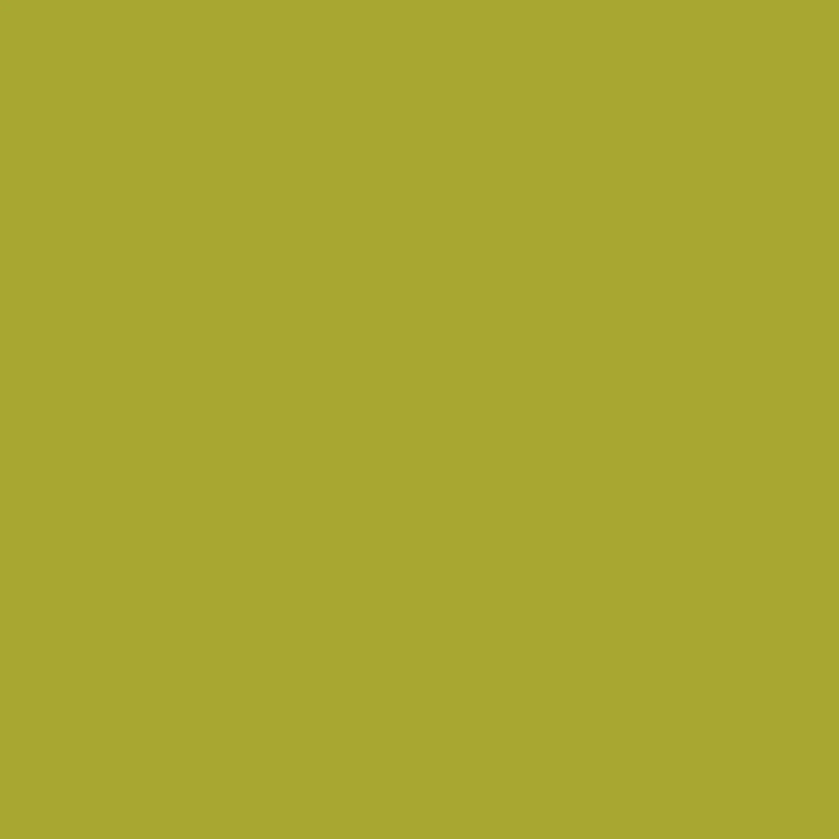 Tula Pink Essential Solids Matcha  CSFSESS-MATCHA Half Yard