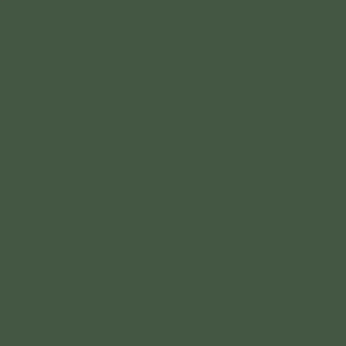SHIRE TULA PINK ESSENTIAL SOLIDS FREE SPIRIT CSFSESS-SHIRE HALF YARD