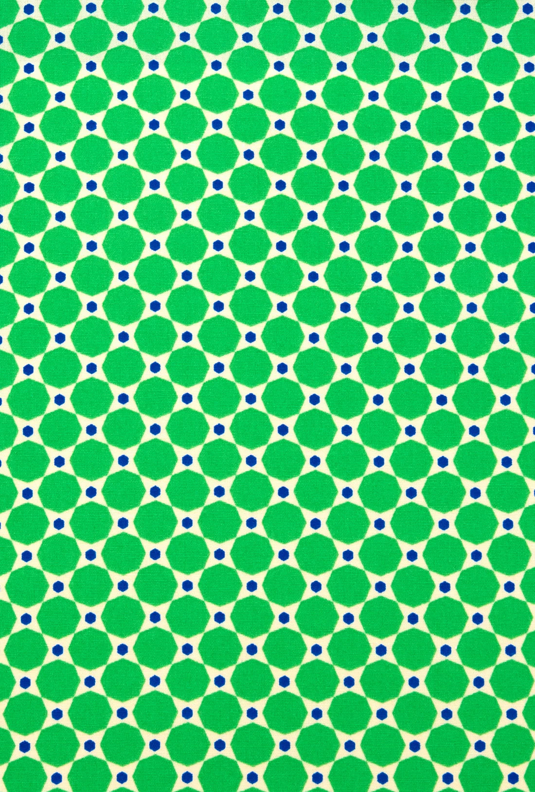Petit Pan Mimoun Green Poplin 537 Half Yard x 60"