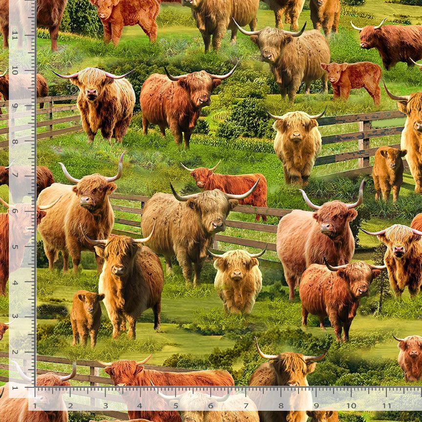 Heather & Highland FARM-CD3076 MULTI Highlands Cows Timeless Treasures Half Yard