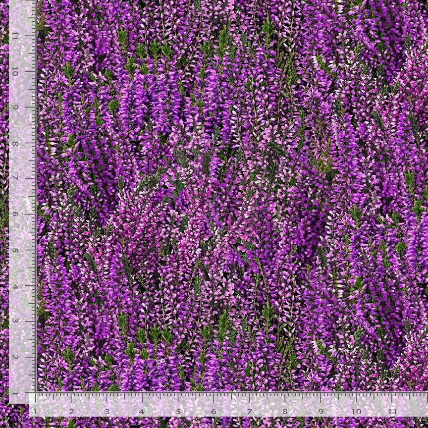 Heather & Highland FLEUR-CD4397 PURPLE Lavender Field Timeless Treasures Half Yard