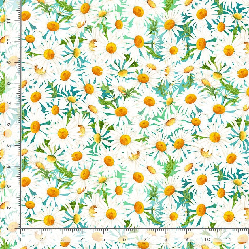 Spring Awakening FLORA-CD4585 DAISY Wild Daisy Field Timeless Treasures Half Yard