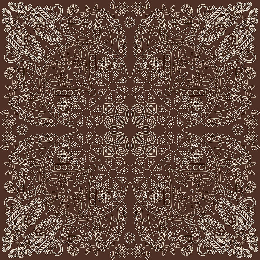 Cowboys Flannel F17508-­BROWN Bandana Echo Park Riley Blake Half Yard
