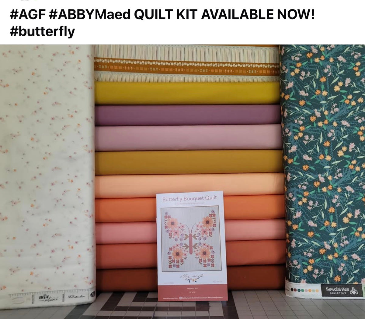 Butterfly Bouquet Quilt Kit Art Gallery Fabrics Abby Maed KIT