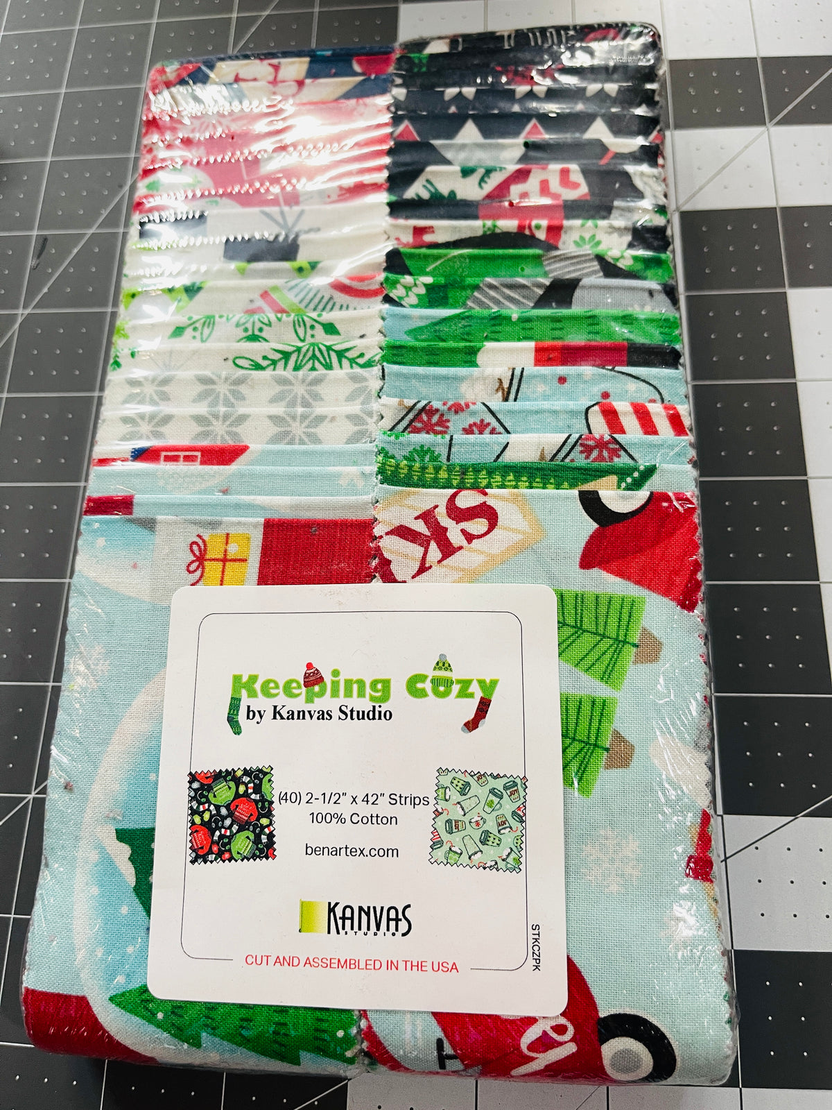 Keeping Cozy 2.5" Strips Jelly Roll By Kanvas Studio STKCZPK Benartex