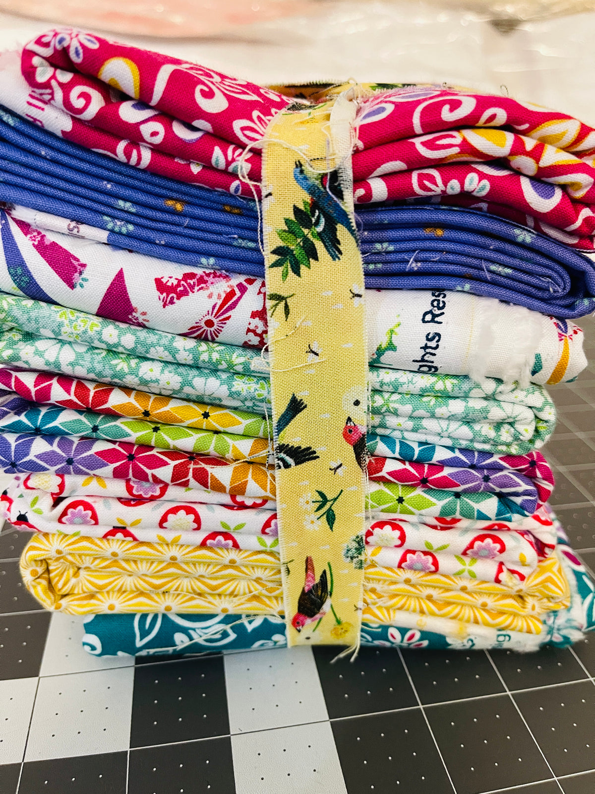 8 Yard Bundle Chasing Rainbow Leslie Ryan Riley Blake 241Y