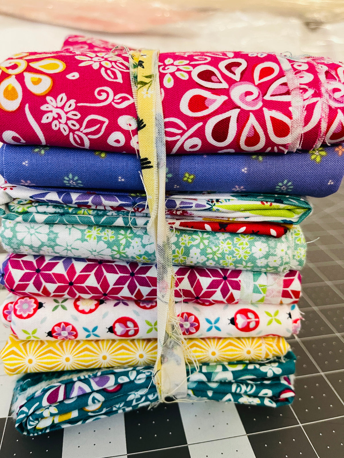 8 Yard Bundle Chasing Rainbow Leslie Ryan Riley Blake 241Y