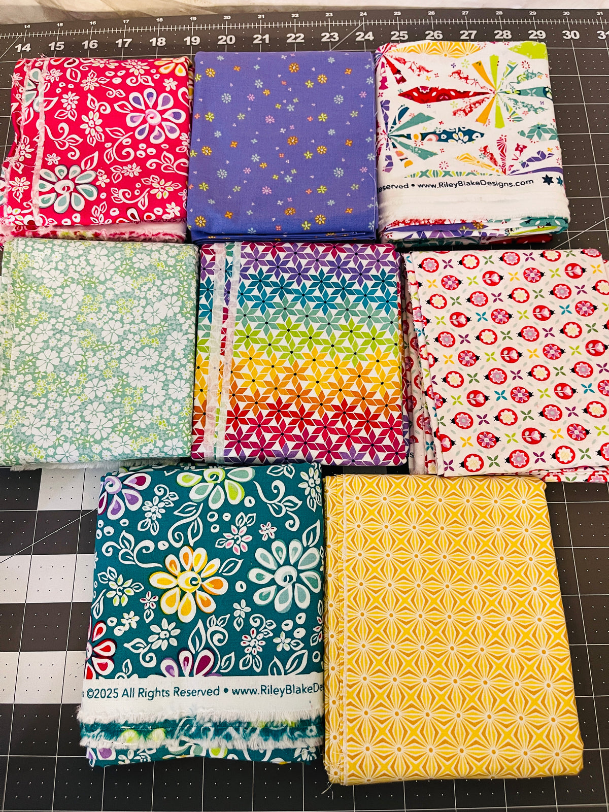8 Yard Bundle Chasing Rainbow Leslie Ryan Riley Blake 241Y
