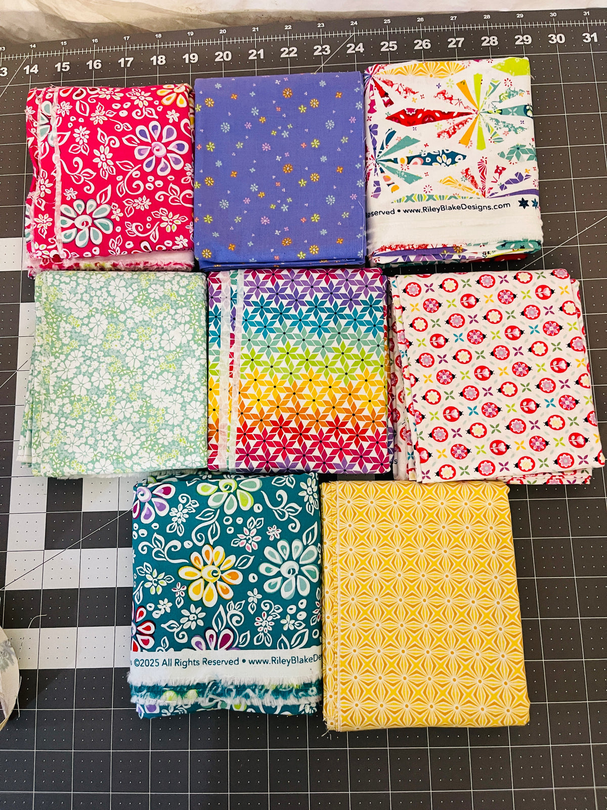 8 Yard Bundle Chasing Rainbow Leslie Ryan Riley Blake 241Y