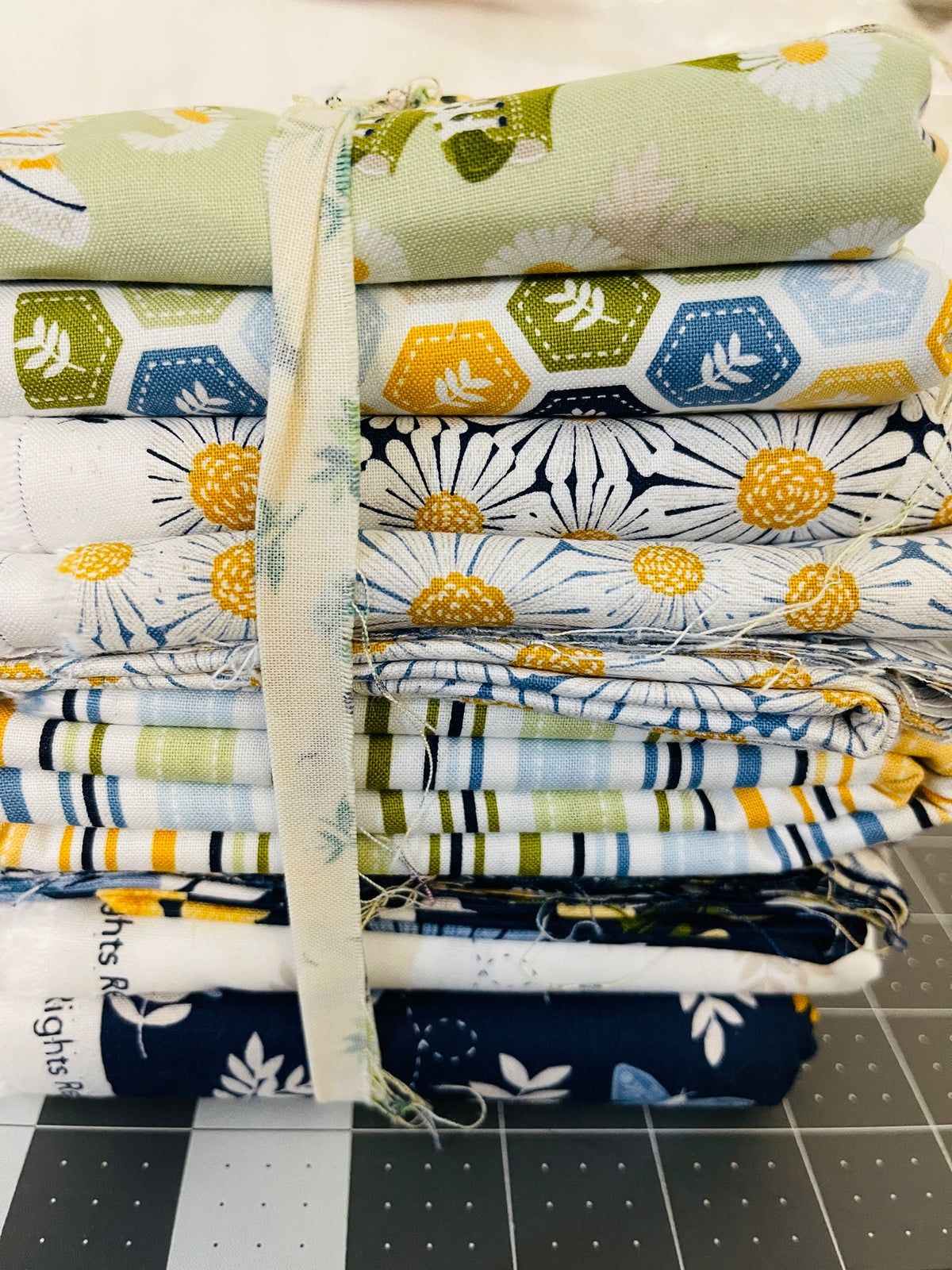 8 Yard Bundle Sunshine & Dandelions Traci Reed Riley Blake 242Y