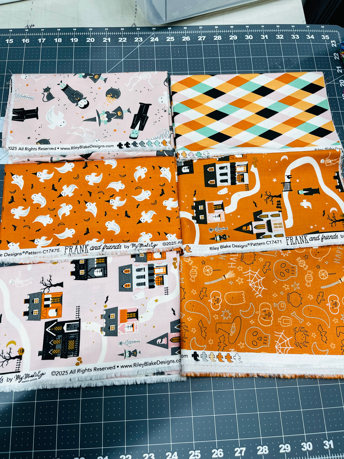 6 Yard Bundle Frank & Friends My Mind's Eye Riley Blake 257Y