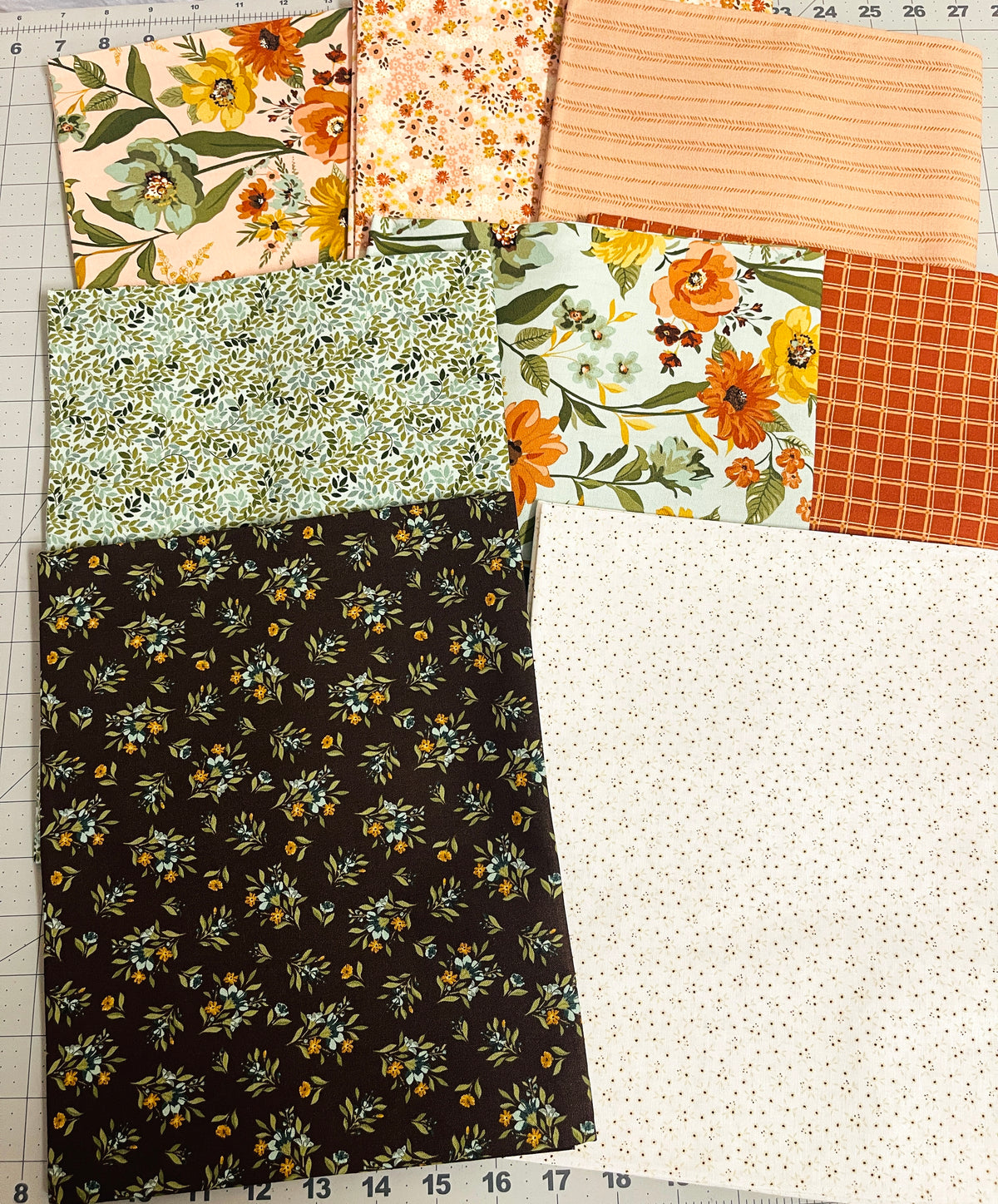 Worth Repeating 8 Yard + Panel Bundle Blush Sandy Gervais Riley Blake 262Y