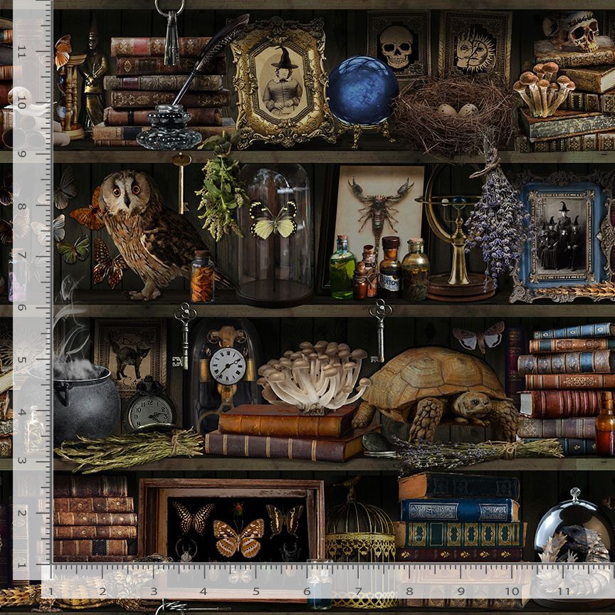 Mad Scientist Witch Apothecary Book Shelf LIBRARY-CD2877 BROWN Half Yard