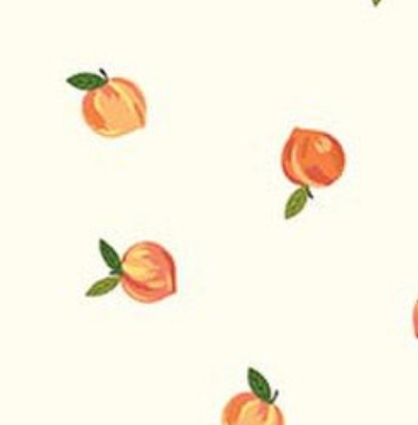 Southern Charm C17442-CLOUD Riley Blake Half Yard