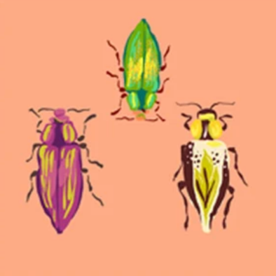 Insectarium Square Dance Panel 54651DP-X Multi Windham Fabrics